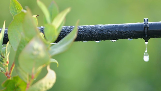 水管