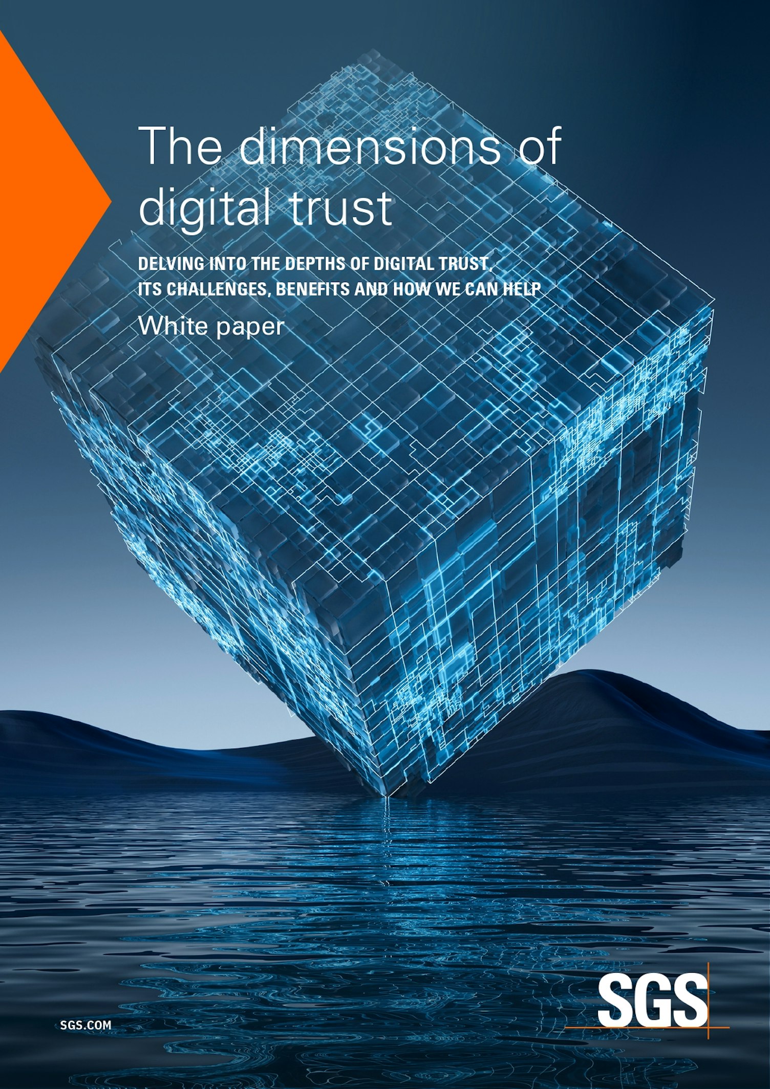 Digital Trust Assurance White Paper Digital