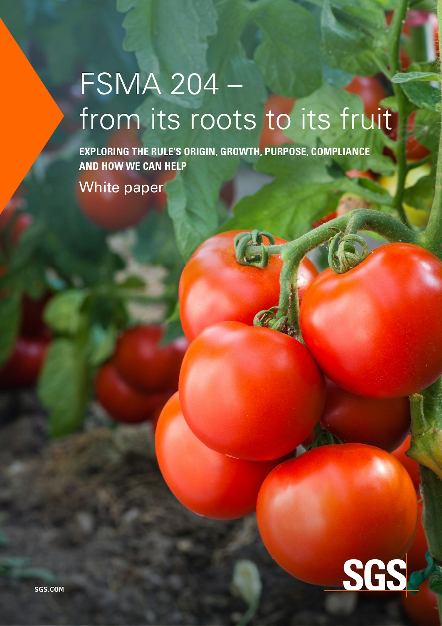 FSMA 204 White Paper