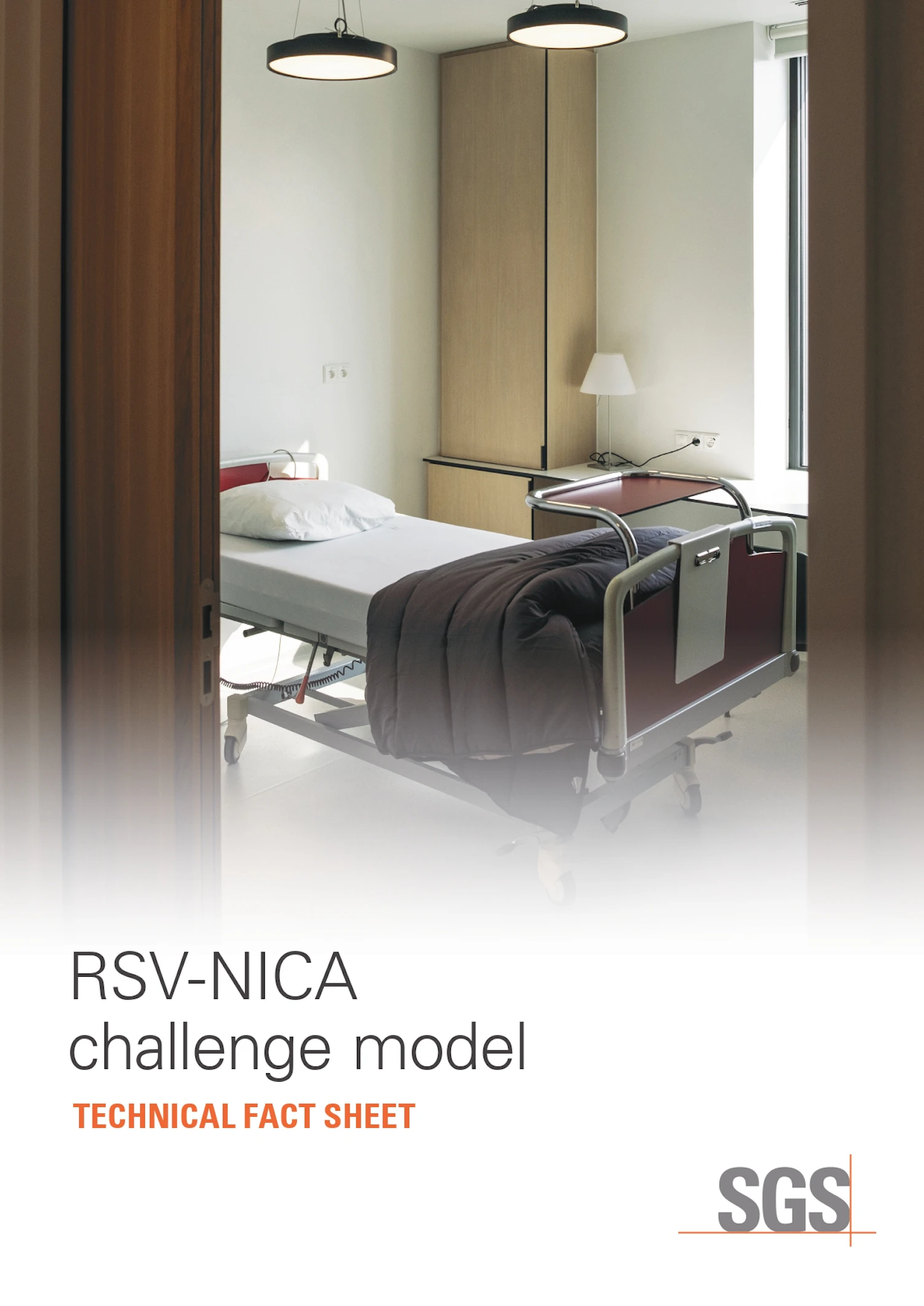 HN RSV factsheet