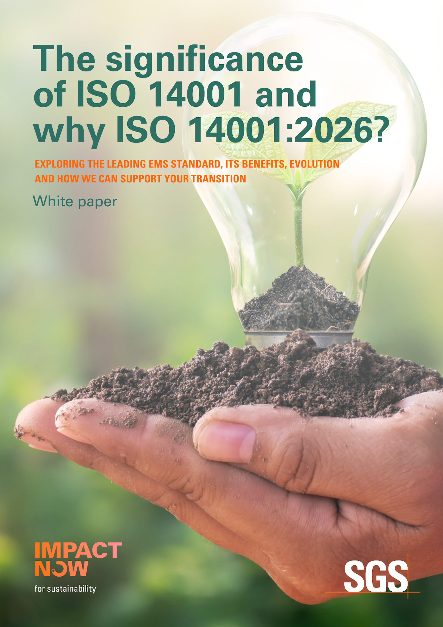 The Significance of ISO 14001 and Why ISO 14001 2026 form
