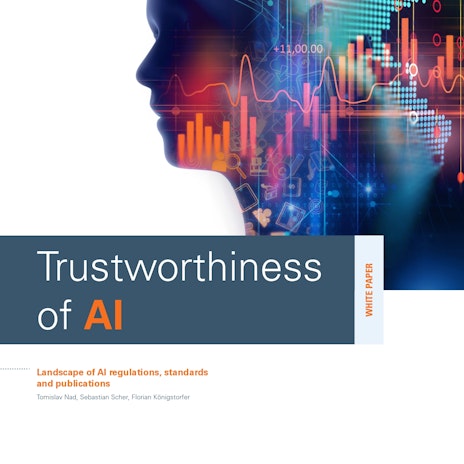 Trustworthiness of AI